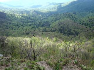 Na ceste zo sledla pod Čierťažou na Ruské sedlo