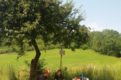 Piknik pod hradom Zborov